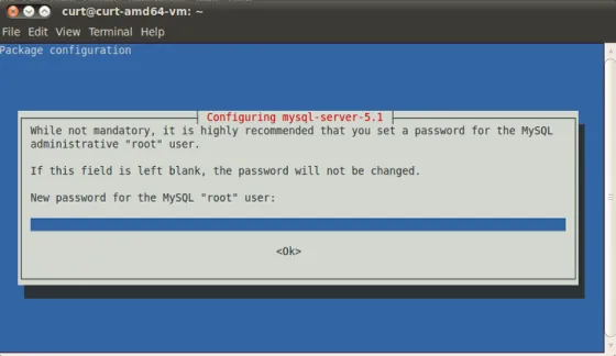mysql-server setup — capture d'écran
